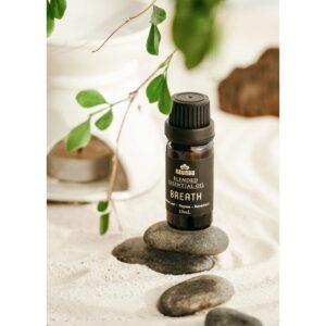 10517655896.jpg 10517655896.jpg