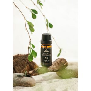 10617670142.jpg 10617670142.jpg